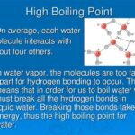 Do Larger Molecules Have Higher Boiling Points?