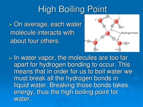 Do Larger Molecules Have Higher Boiling Points?