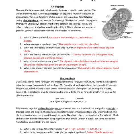 Photosynthesis: Making Energy