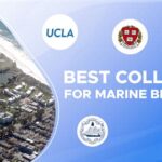 Good Colleges for Marine Biology Best Colleges for Marine Biology Why Study Marine Biology? What Can You Do with a Degree in Marine Biology? How to Choose a College for Marine Biology Applied Marine Biology Careers in Applied Marine Biology FAQs Tables