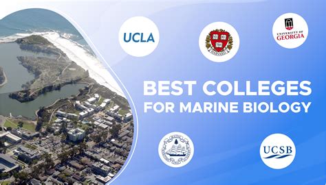 Good Colleges for Marine Biology Best Colleges for Marine Biology Why Study Marine Biology? What Can You Do with a Degree in Marine Biology? How to Choose a College for Marine Biology Applied Marine Biology Careers in Applied Marine Biology FAQs Tables