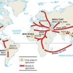 Migration of European Agriculture: A Watershed Moment in AP World History