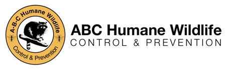 ABC Humane Wildlife: A Comprehensive Guide to Compassionate Animal Care Key Data and Statistics Innovative Idea Generation: “Animaliscopy” Useful Tables