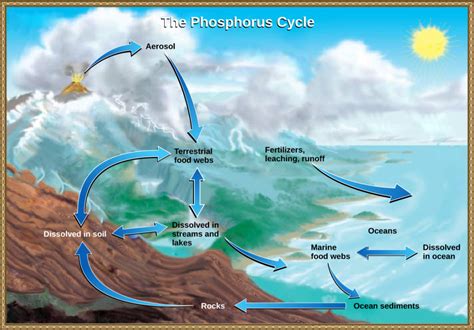 The Atmosphere: A Major Reservoir of Phosphorus