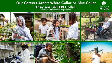 Horticulture Jobs in Pittsburgh, PA: Cultivating a Green Career in the Steel City