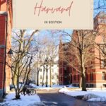 How Far is Harvard from Boston? Why Visit Harvard University? Conclusion