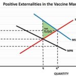 Socially Efficient Quantity: Striking a Balance for Optimal Outcomes