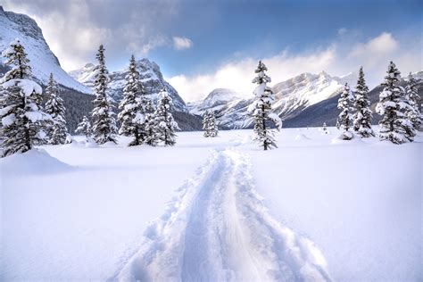 Boston to Bozeman, MT: A Cross-Country Odyssey