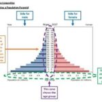 Dependency Ratio Definition: AP Human Geography