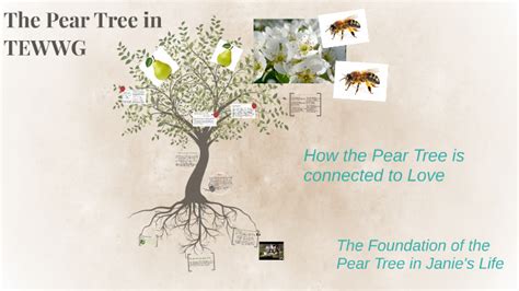 Pear Tree TEWWG Chapter: A Comprehensive Guide