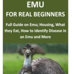 Emu Housing Application: A Comprehensive Guide Frequently Asked Questions