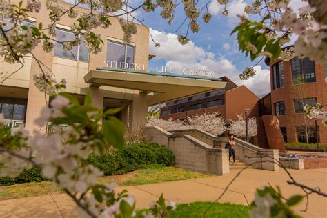 Vanderbilt University: A Hub for Student Engagement and Personal Growth