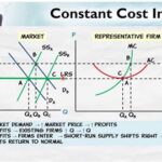 A Constant Cost Industry: Unveiling the Dynamics of Constant Marginal Costs