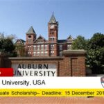 Auburn University National Merit Scholarship: An Investment in Excellence