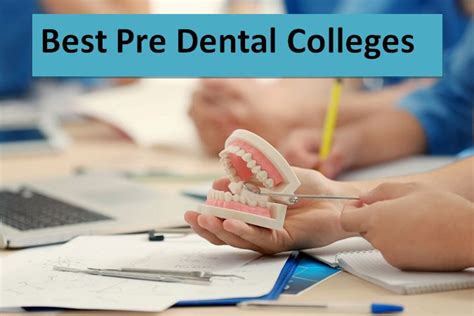 Best Colleges for Pre-Dental Students