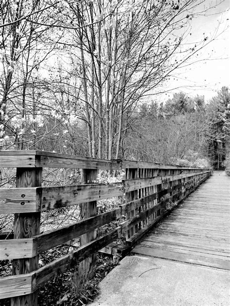 Alexander Carr Park: A Comprehensive Guide to a Historic Urban Oasis