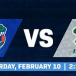 UF vs. USF: A Comprehensive Comparison