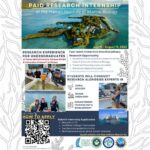 Summer Internships in Hawaii: A Glimpse of Paradise and Career Advancement