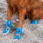 Skechers Dog Shoes: A Pawfect Fit for Your Furry Friend Appendix: Data Tables