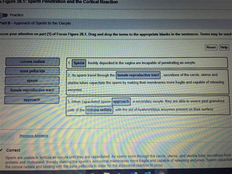 Once Executed a Will May Not Be Changed Quizlet
