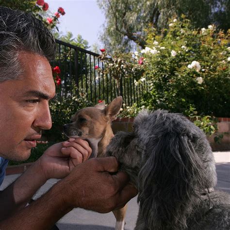 James Crane, the Dog Whisperer Who Transformed Daisy’s Life