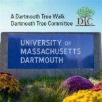 UMass Dartmouth Tours: Explore a Vibrant Campus on the SouthCoast