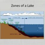 Diagram of a Lake and Description of the Zones