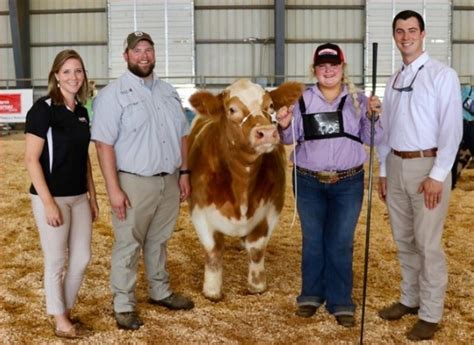 Tennessee Cattlemen’s Association: Championing the Beef Industry