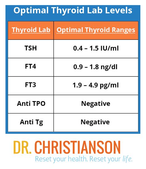 Is a Thyroid Number of 3.54 in Men Good?