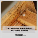 Window Sill Bugs: A Common Nuisance