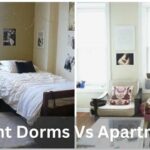 Dorm vs. Apartment: The Ultimate Guide to Choosing Your Student Housing