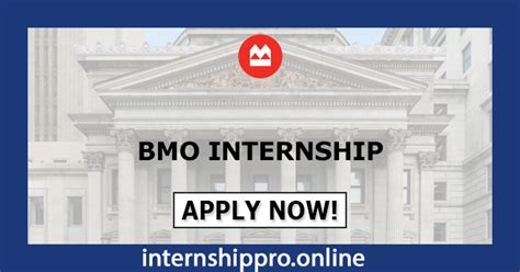 BMO Summer Internship: The Ultimate Guide to Success