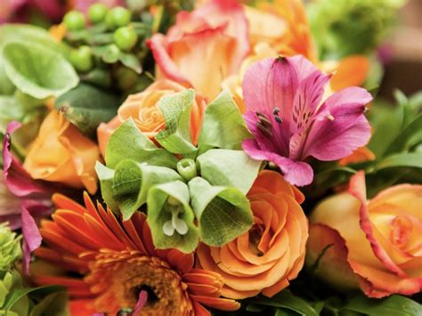 Frances Flower Shop: A Floral Haven in the Heart of Little Rock