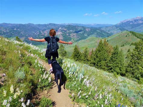 Hiking Trails Near Me: A Dog-Friendly Adventure