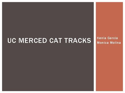 Merced Cat Tracks: The Ultimate Guide to Adventure