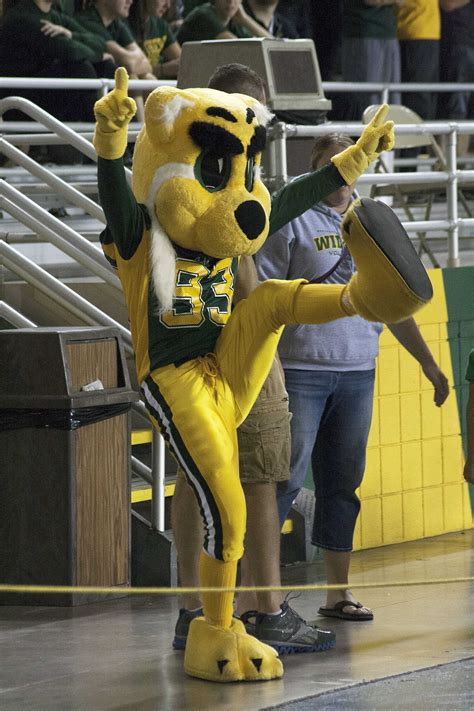 Northern Michigan University Mascot: The Story Behind Willie the Wildcat