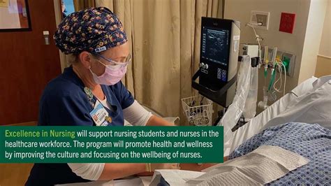 Chuck Smith USF Nursing: A Legacy of Excellence in Healthcare Education