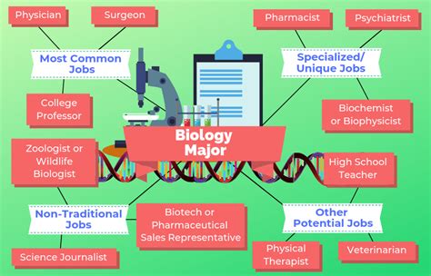 Why WashU’s Biology Major is a Wise Investment for Your Future What Can You Do with a Biology Major from WashU? How to Apply to WashU’s Biology Program Visit WashU and Learn More Conclusion Additional Resources