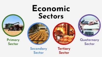 Quinary Sector: The Emerging Economic Powerhouse