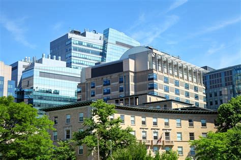 Harvard Med Bowdoin Reddit: An Inside Look into the Elite Medical School’s Prestigious Pre-Professional Program