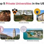 Private vs. Public College: Determining the Best Fit