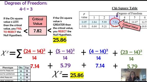 AP Bio Chi Square Practice Problems: Master Chi Square Analysis for Genetics and Beyond