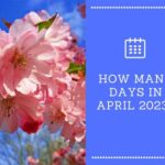 How Many Days Since April 10, 2024?