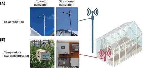 Environmental Variables and Crop Genotype: Unlocking the Key to Sustainable Agriculture