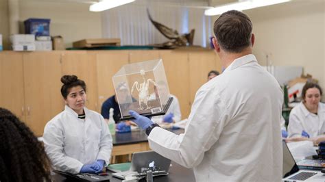 Colleges With Pre-Vet Programs
