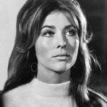 Michele Carey Net Worth: A Journey from Hollywood Starlet to Real Estate Tycoon