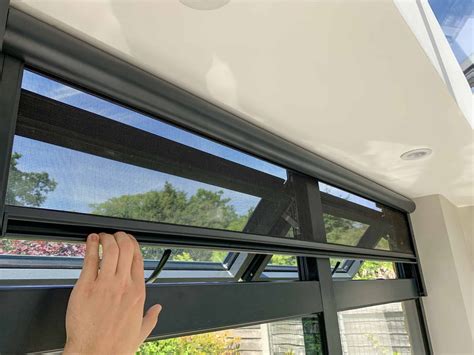 Insect Window Screens: A Comprehensive Guide to Protection and Ventilation
