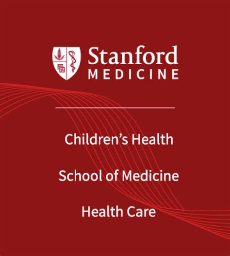 Stanford Medical Engineering: Advancing Healthcare Through Innovation