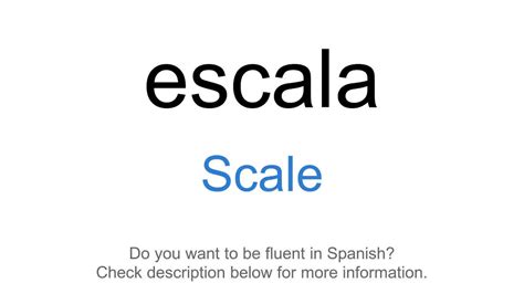 How Do You Say Scale in Spanish?