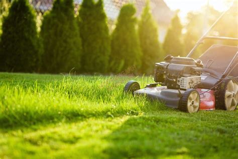 Can You Report Someone for Not Mowing Their Lawn?